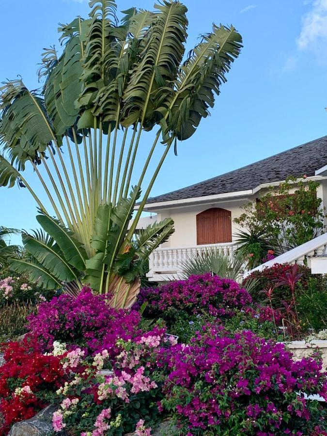 Domaine Saint-Francois Hotel Ngoại thất bức ảnh