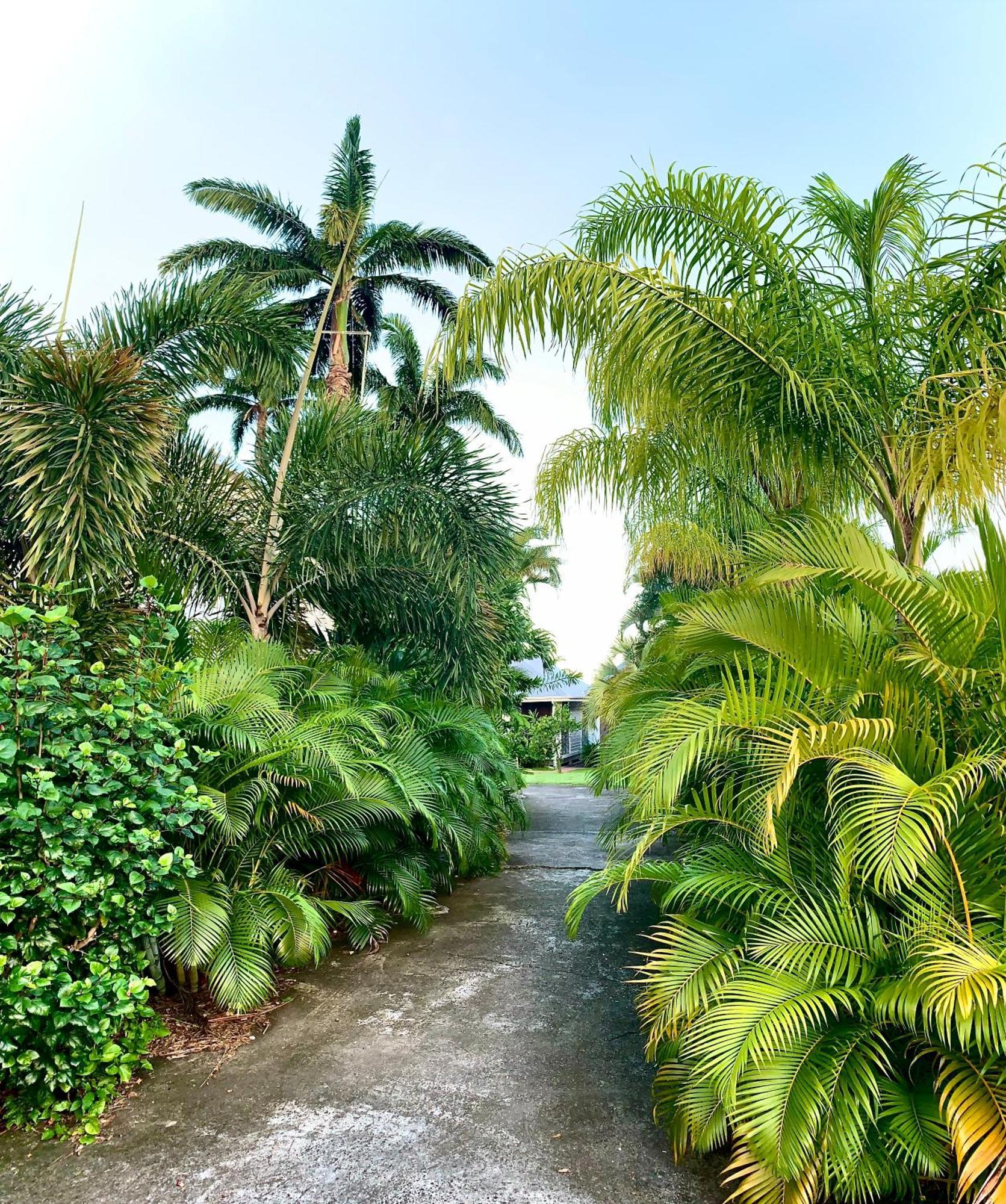 Domaine Saint-Francois Hotel Ngoại thất bức ảnh